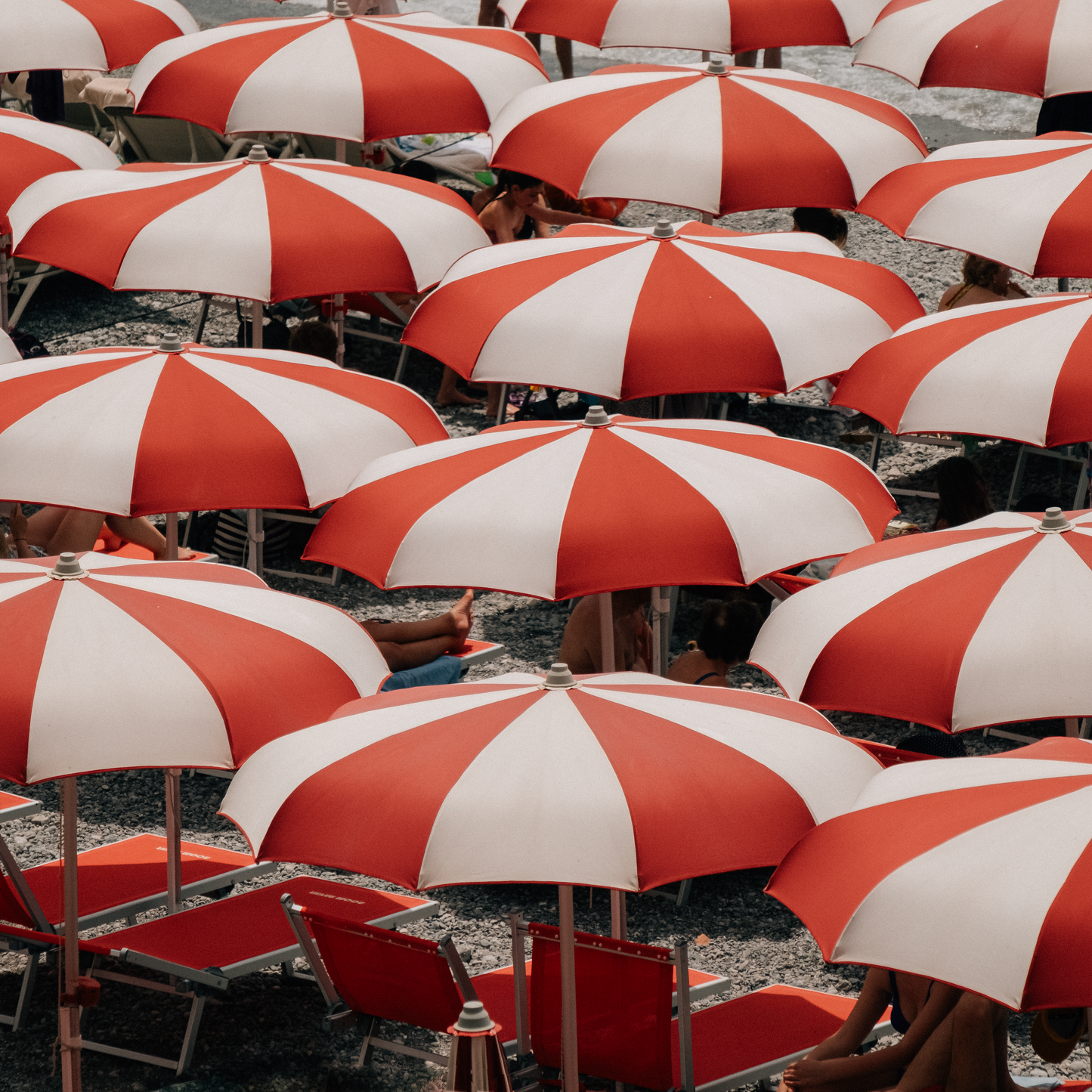 Candy Cane Canopies